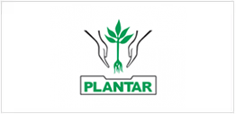 plantar